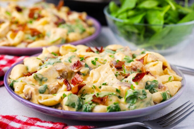 A plate of creamy instant pot chicken bacon ranch pasta shells with spinach.