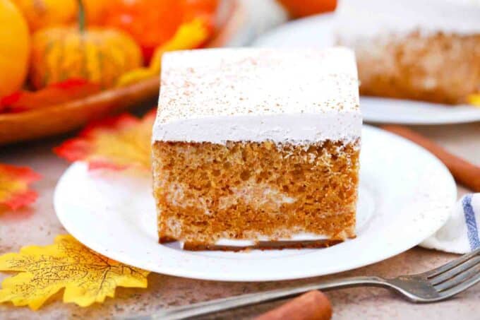 tres leches pumpkin cake with pumpkins in the background