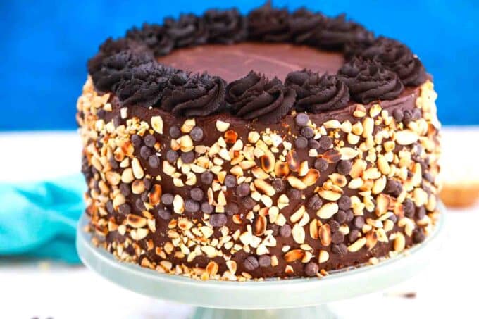 chocolate blackout cake on a cake stand