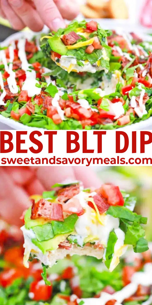 easy blt dip pin