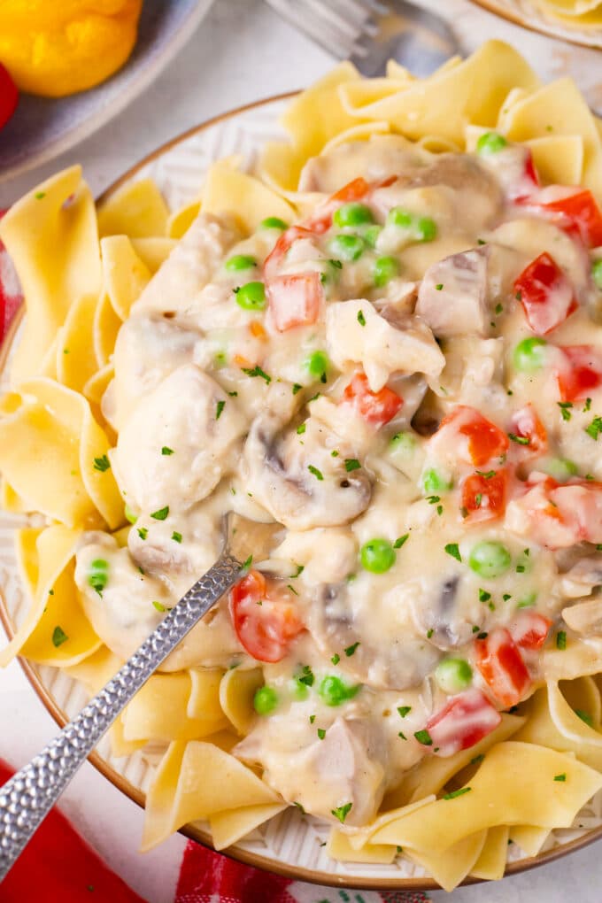 Overhead shot of chicken a la king over pasta.