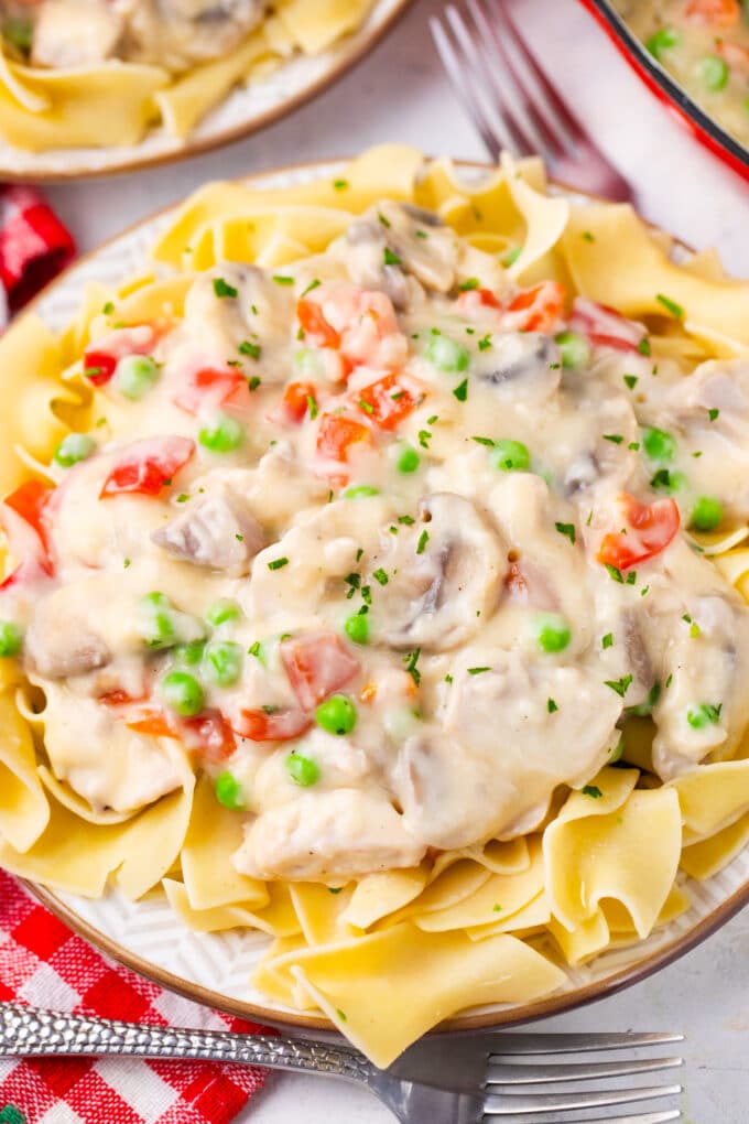 Chicken a la king over egg noodles.