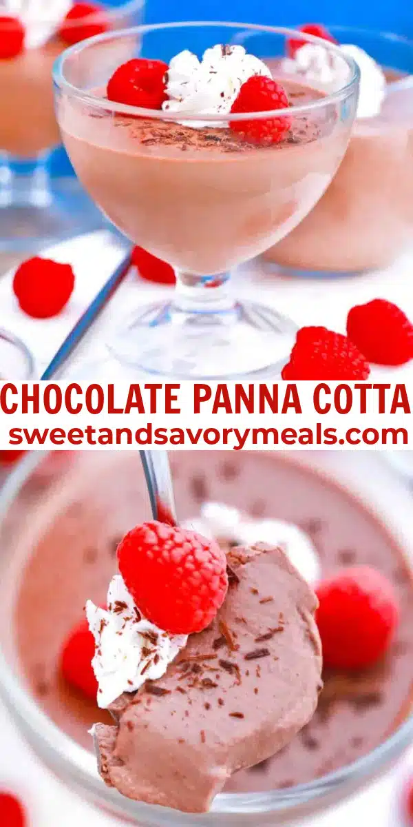 easy chocolate panna cotta pin