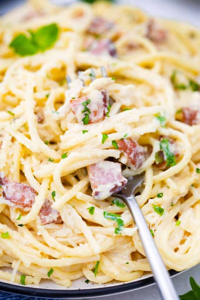 a plate with a forkful of creamy chicken carbonara