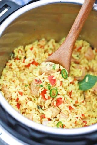 a spoonful of instant pot chicken biryani