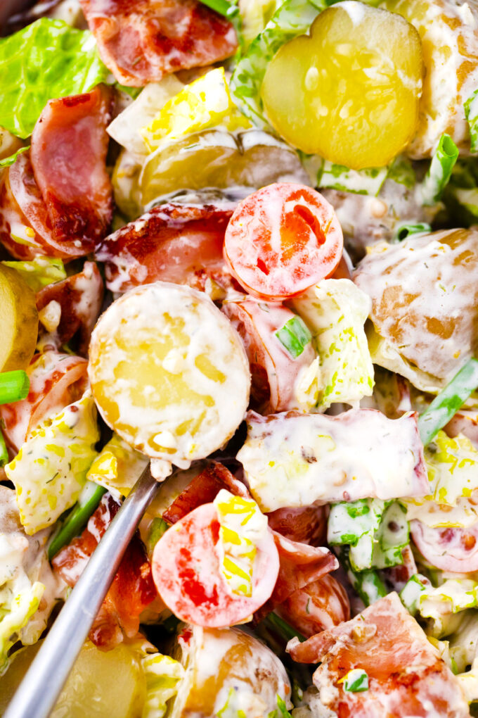 Overhead shot of creamy BLT potato salad.