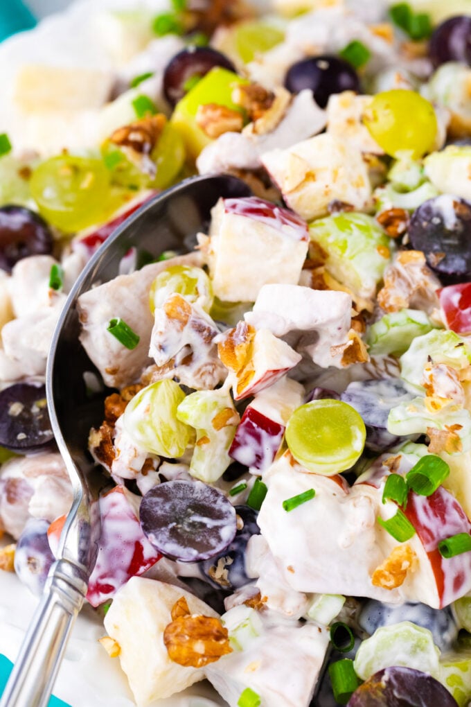 Close shot of chicken Waldorf salad.