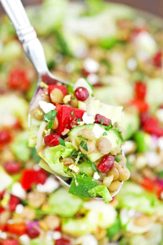 a spoonful of mediterranean lentil salad recipe