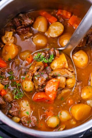 Homemade Instant Pot beef stew.