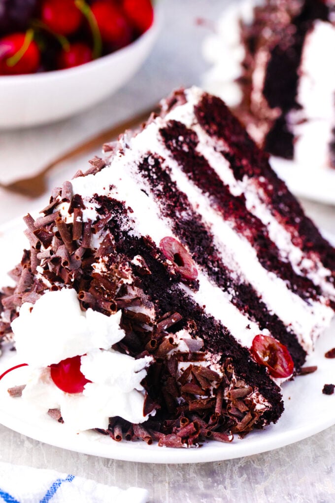 A slice of decadent black forest cake with fresh cherries.
