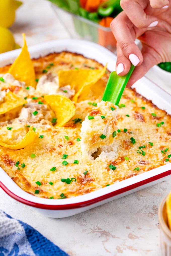 Corn chips and celery stick dipped into chicken Caesar dip.