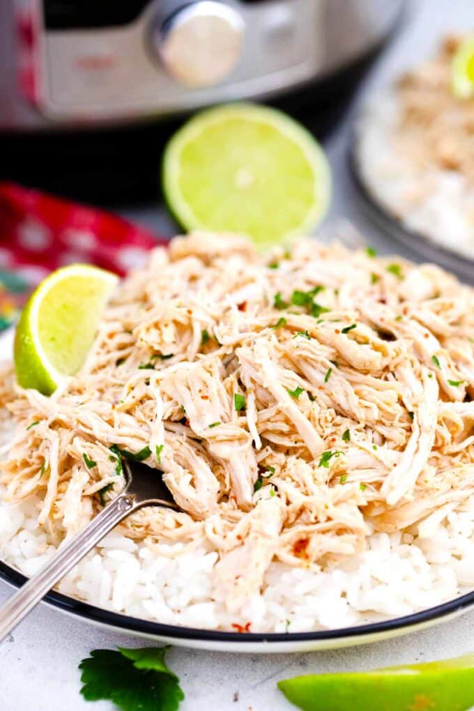 A plate of shredded chicken over rice.
