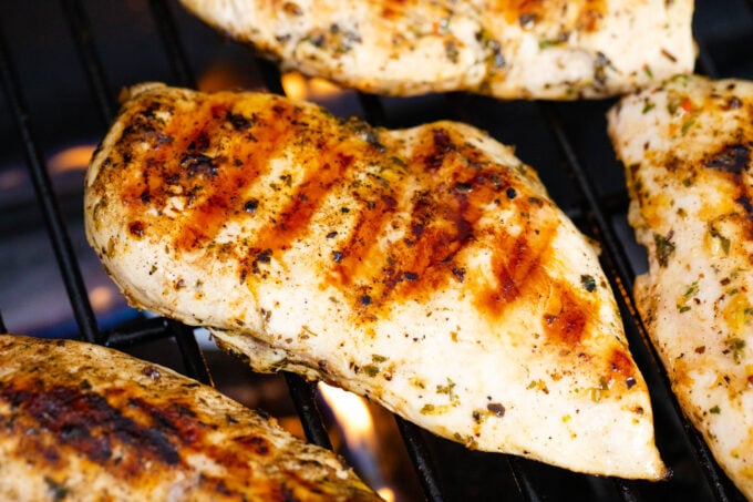 Lightly charred grilled chicken breasts.