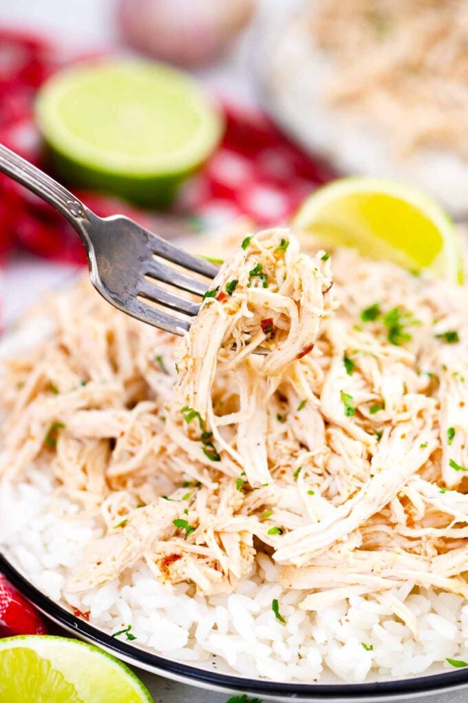 A forkful of juicy instant pot shredded chicken.