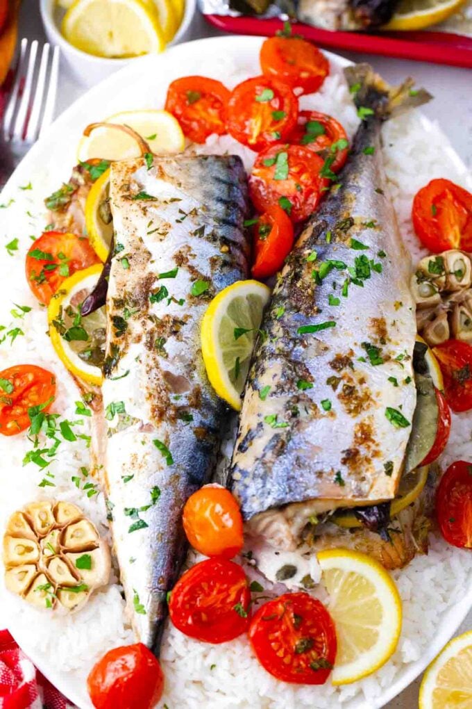 homemade roasted mackerel fish served on rice