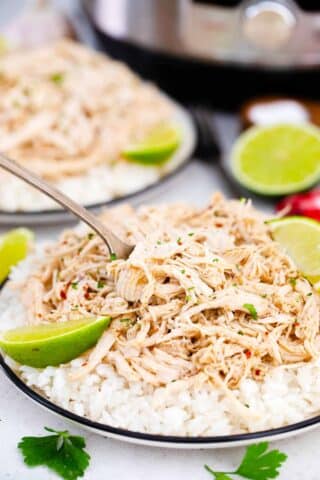 Juicy instant pot shredded chicken served with rice.
