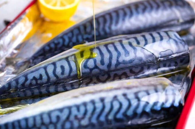 drizzling Spanish mackerel with olive oil