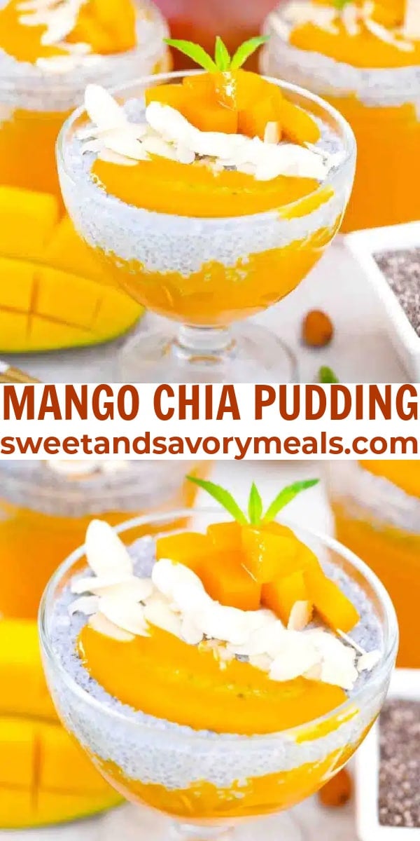 easy mango chia pudding pin