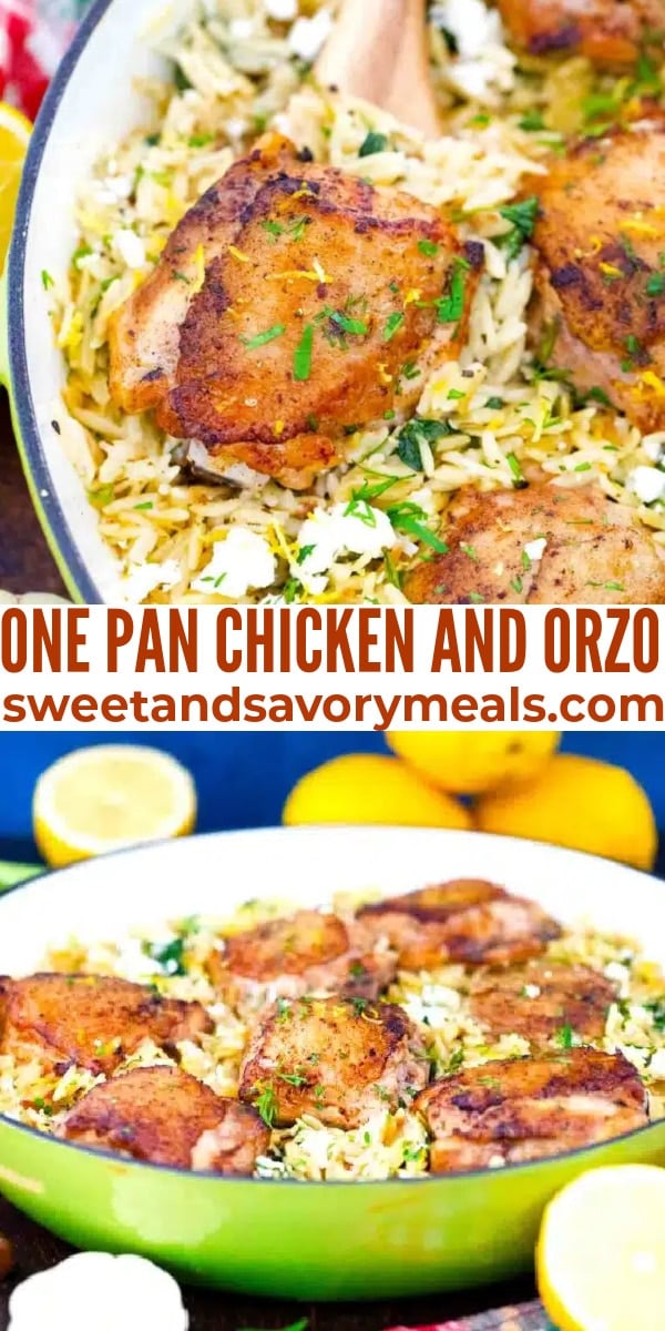 easy one pan chicken and orzo pin