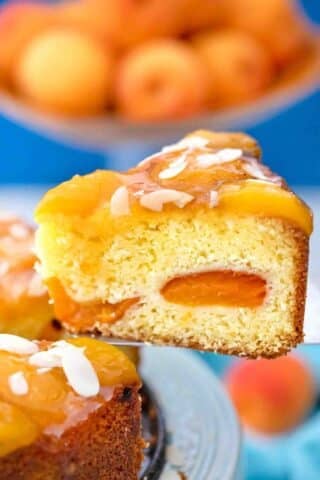 serving a slice of german almond apricot cake with apricots throughout the cake