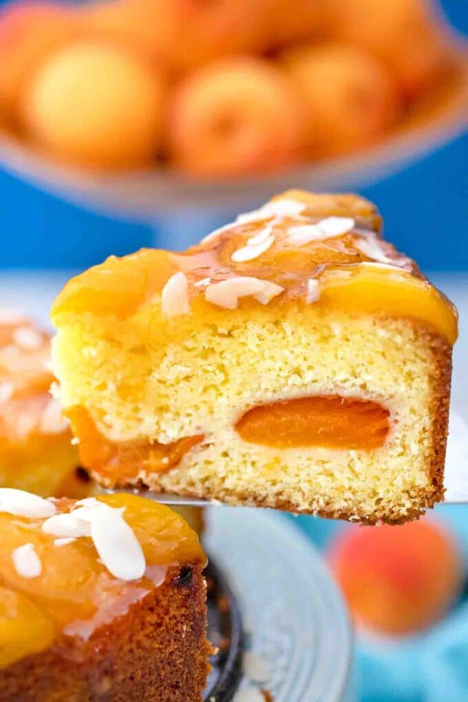 serving a slice of german almond apricot cake with apricots throughout the cake