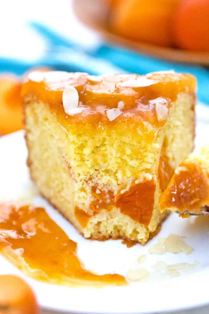 close macro shot of german apricot cake reveling pieces of apricots through the cake