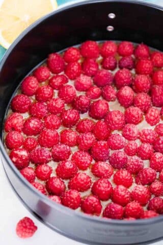 raspberries on the bottom of a springform pan