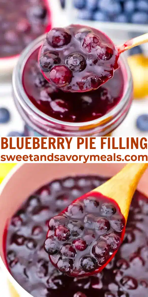 easy blueberry pie filling pin