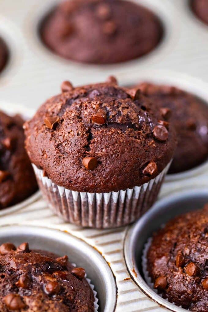 Chocolate banana muffins with chocolate chips.