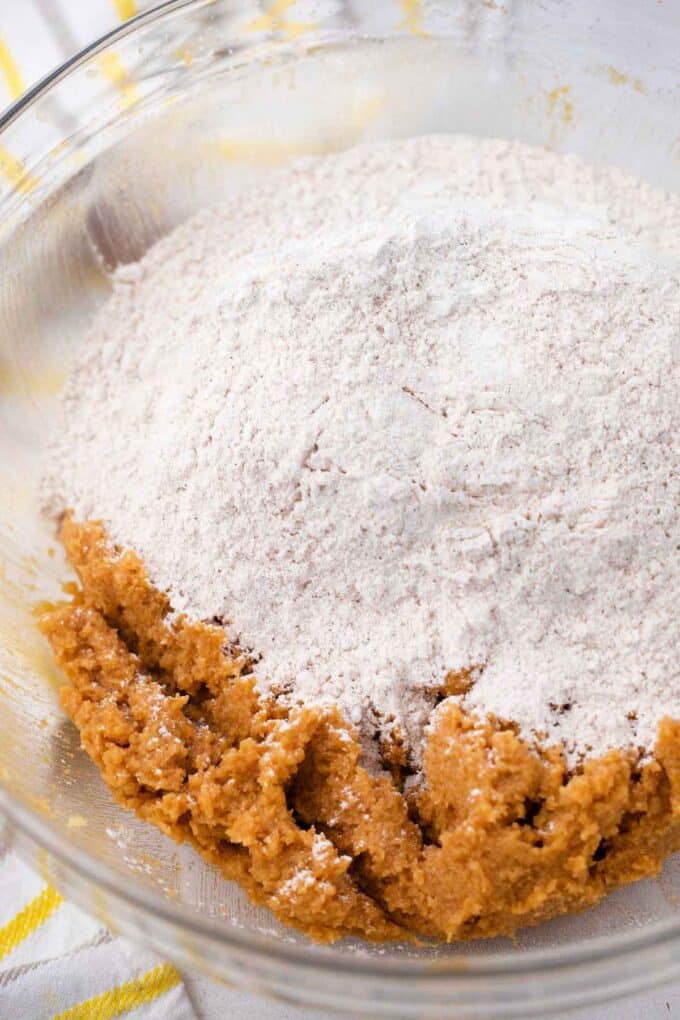 combining wet and dry ingredients to make molasses cookies