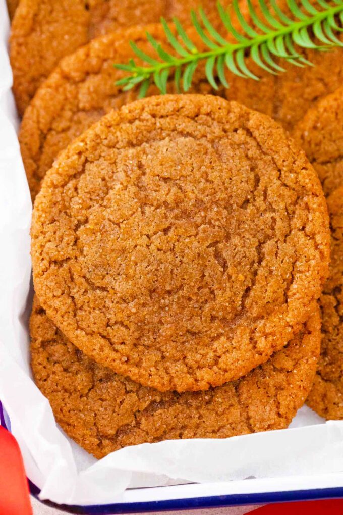 close shot of molasses cookies in a tray