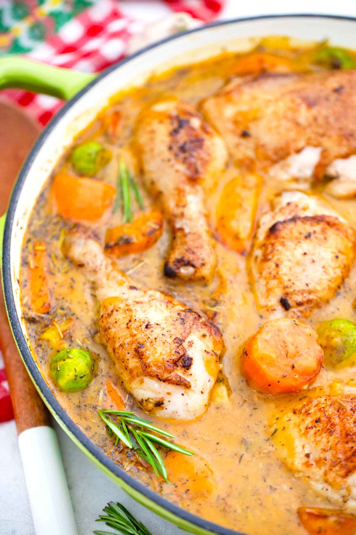 One Pot Roasted Chicken Recipe - S&SM