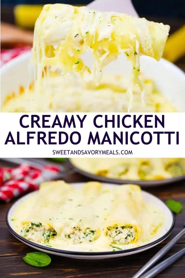 Creamy Chicken Alfredo Manicotti Recipe Sweet and Savory Meals