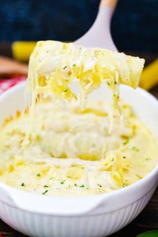 lifting a cheesy chicken alfredo mannicotti facebook from a baking dish