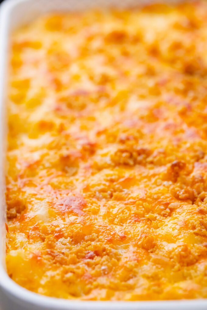 Baked gluten free mac and cheese casserole topped with cheese.