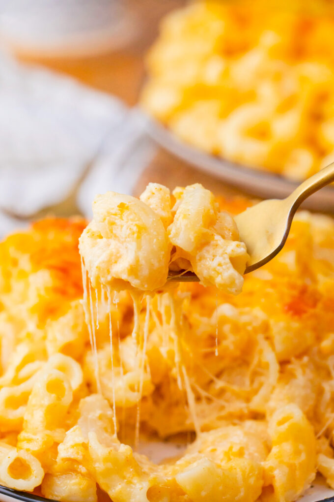 A forkful of cheesy gluten free mac and cheese.