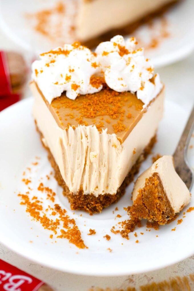 a slice of no bake biscoff cheesecake on a plate with fork marks into the filling