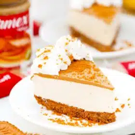 a slice of no bake biscoff cheesecake topped with whipped cream with a jar of biscoff next to it