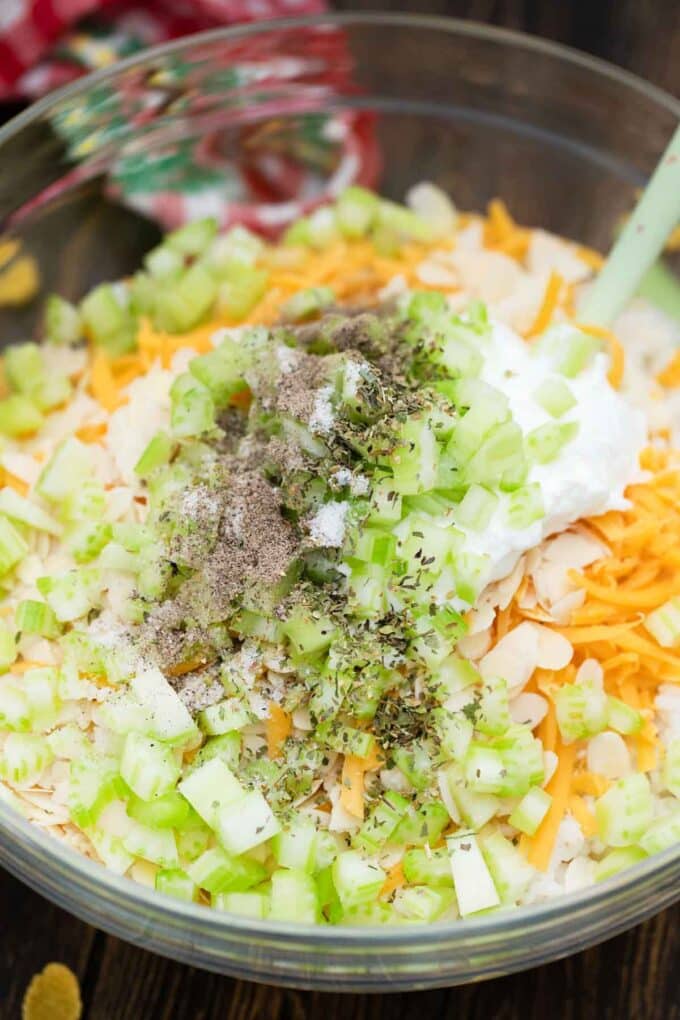 celery and spices added to a bowl of chicken sauce and cheese