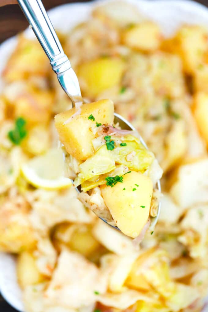 A spoonful of homemade cabbage and potatoes.