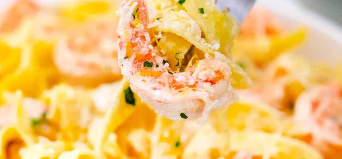 a fork of champagne shrimp scampi