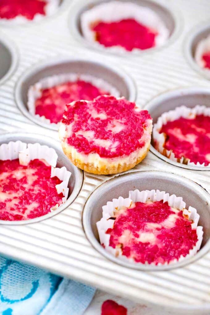 keto raspberry cheesecake bites in a muffin tin