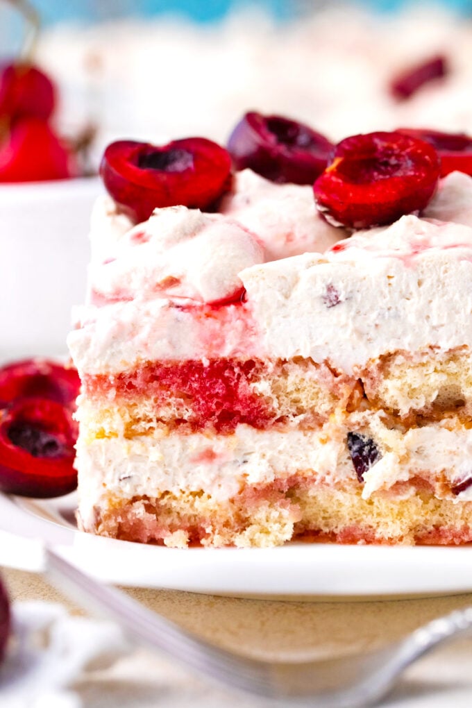 A slice of cherry amaretto tiramisu topped with fresh cherries.