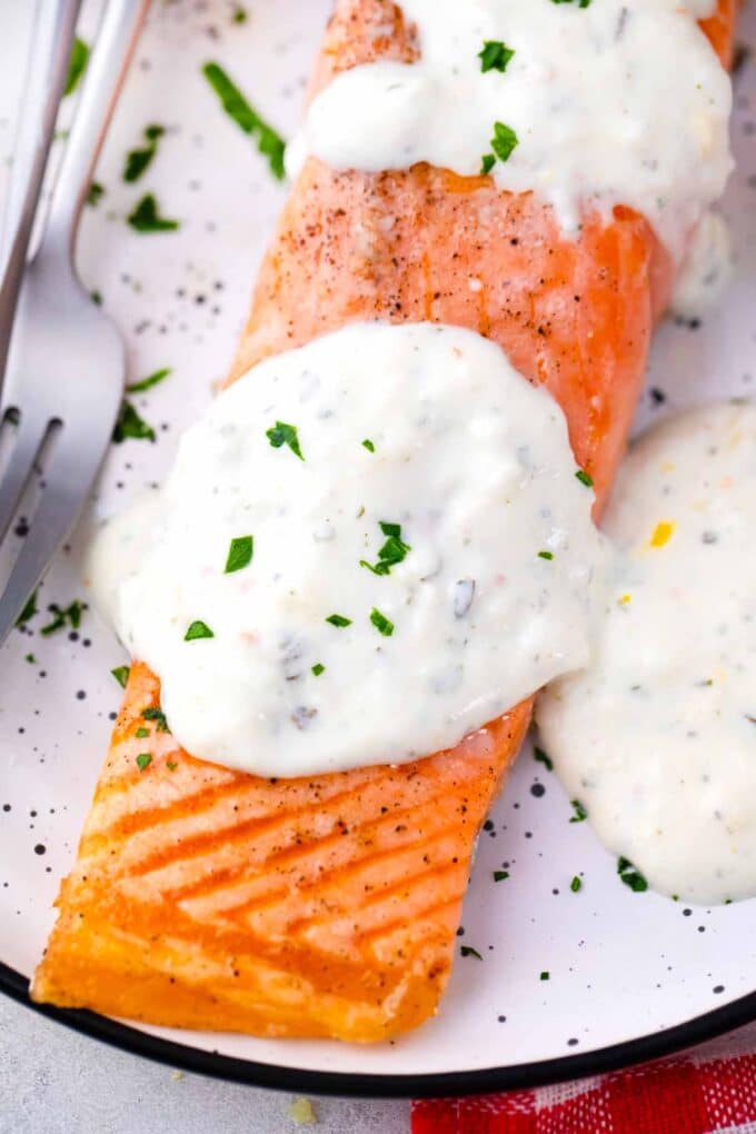 salmon topped with creamy white sauce