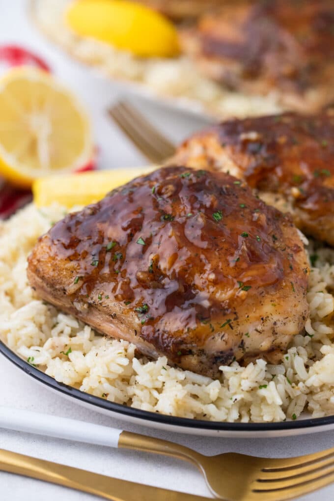 Perfectly browned honey garlic chicken and rice served with rice.