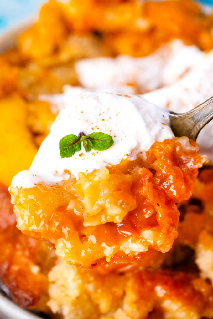 A spoonful of juicy peach cobbler.