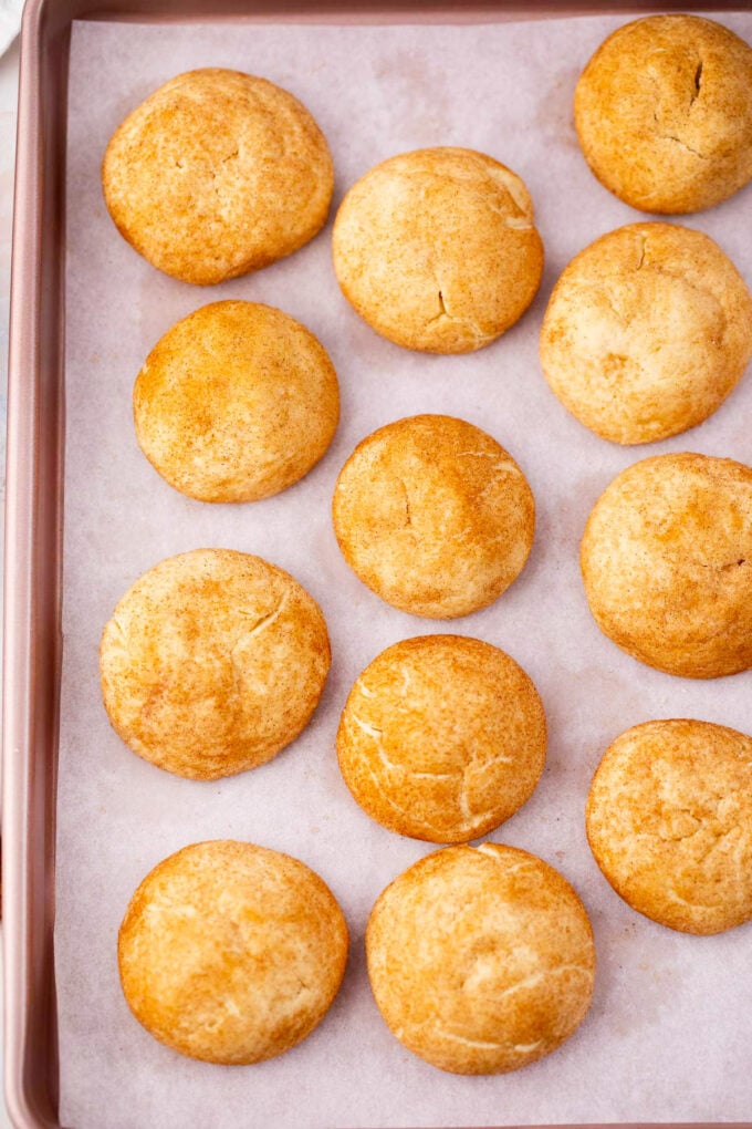 Overhead shot of tender cinnamon cream cheese cookies on a baking sheet.