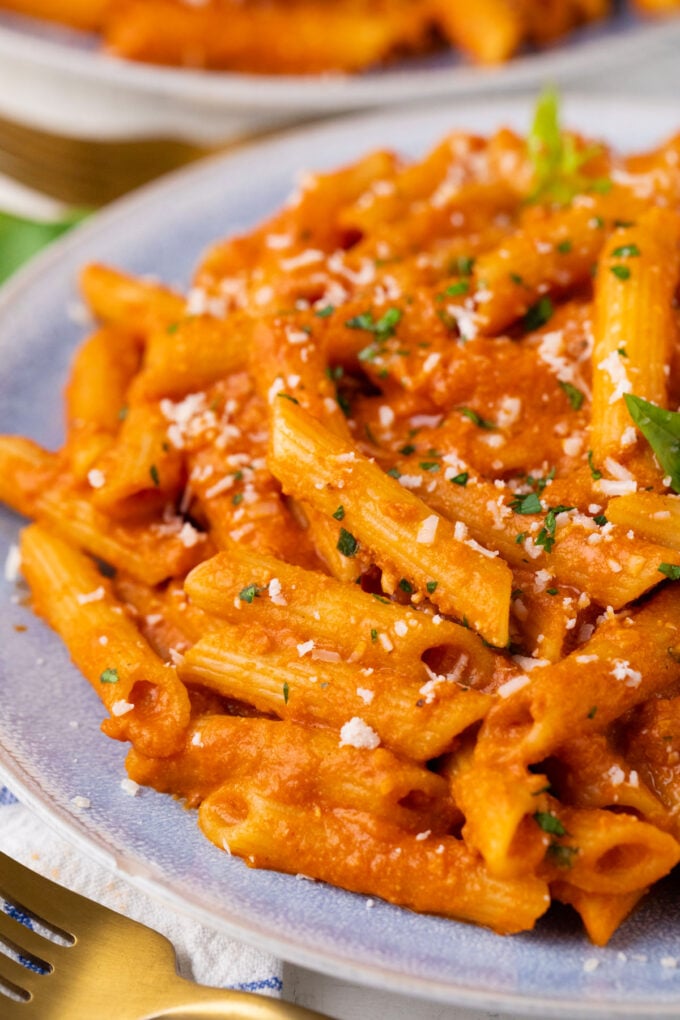 A plate of homemade penne alla vodka.