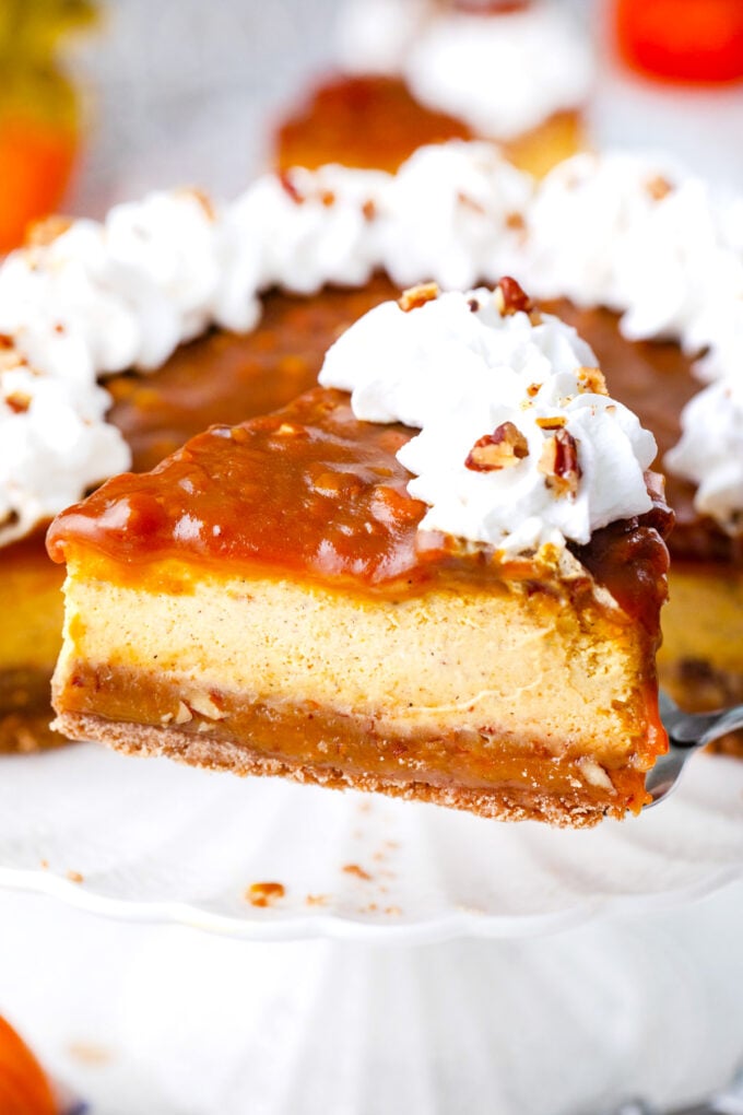 A slice of pecan pie pumpkin cheesecake on a serving spatula.