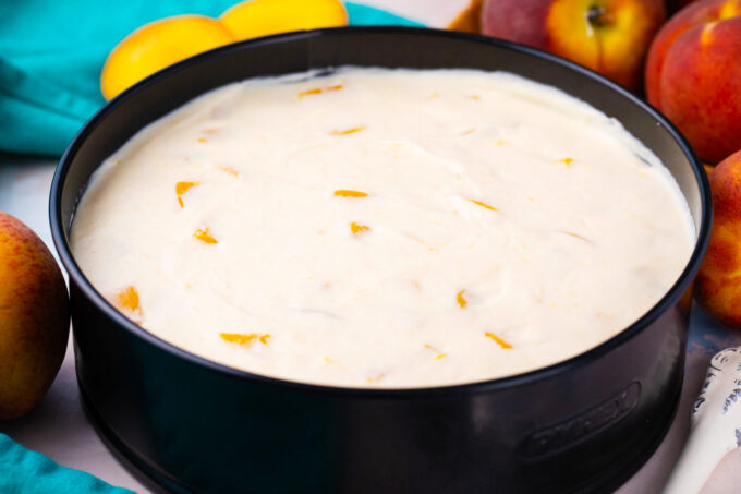 A no bake peach cheesecake in a springform pan.